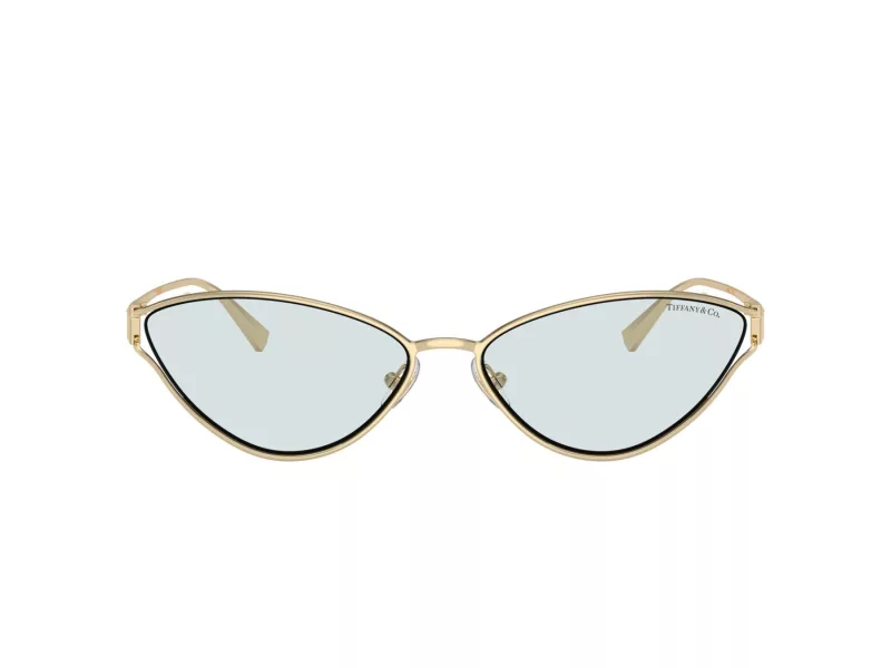 Tiffany Solbriller TF 3095 6196MF