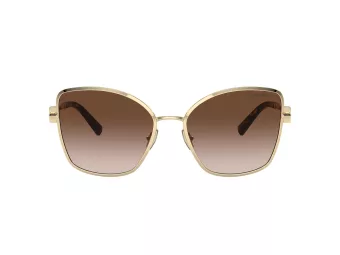 Tiffany Solbriller TF 3102B 61893B