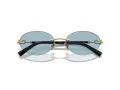 Tiffany Solbriller TF 3104D 602180
