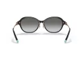 Tiffany Solbriller TF 4188D 80013C