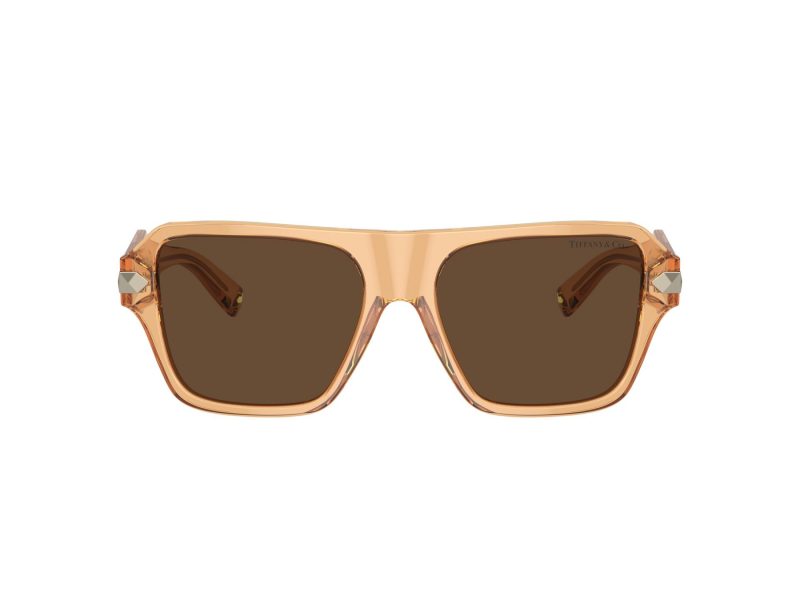 Tiffany Solbriller TF 4204 83773G