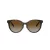 Tiffany Solbriller TF 4209D 8015T5