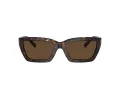 Tiffany Solbriller TF 4213 80153G