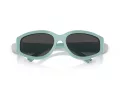 Tiffany Solbriller TF 4217 838887