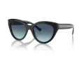 Tiffany Solbriller TF 4220 80019S