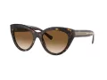 Tiffany Solbriller TF 4220 801551