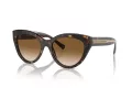 Tiffany Solbriller TF 4220 801551