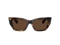 Tiffany Solbriller TF 4230 84213G