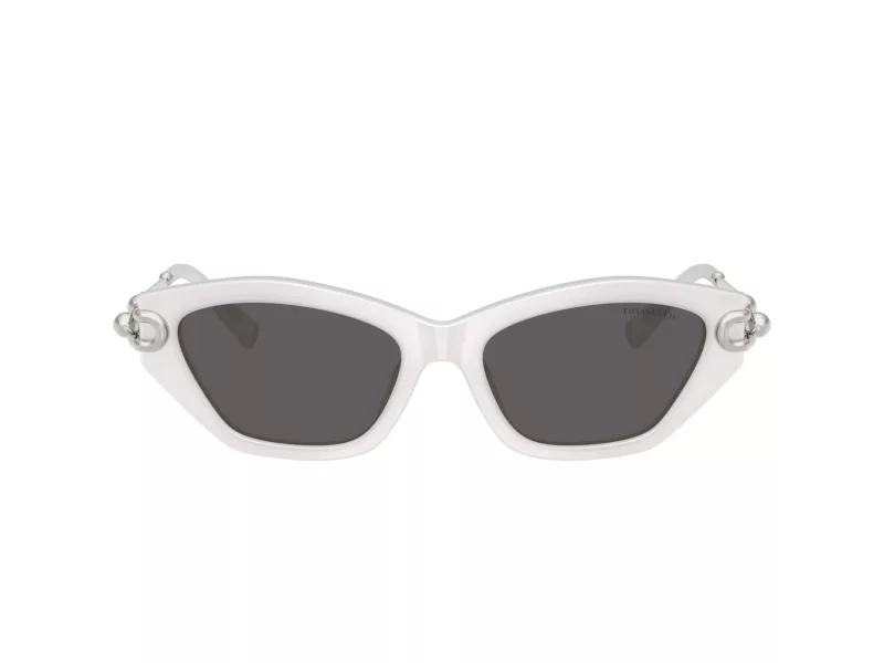 Tiffany Solbriller TF 4231U 8437S4