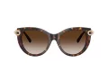 Tiffany Solbriller TF 4232 80153B