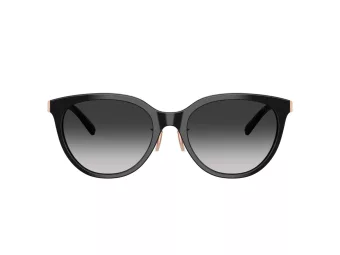 Tiffany Solbriller TF 4243D 80013C
