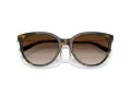 Tiffany Solbriller TF 4243D 81343B