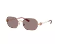 Tory Burch Solbriller TY 6113 33587N