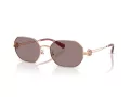 Tory Burch Solbriller TY 6113 33587N