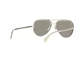 Versace Solbriller VE 2231 1252/6G