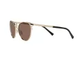 Versace Solbriller VE 2237 1252/73