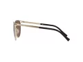 Versace Solbriller VE 2237 1252/73