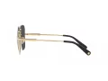 Versace Solbriller VE 2246D 100287
