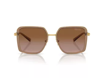Versace Solbriller VE 2261 100213