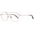 Web Briller WE 5300 033